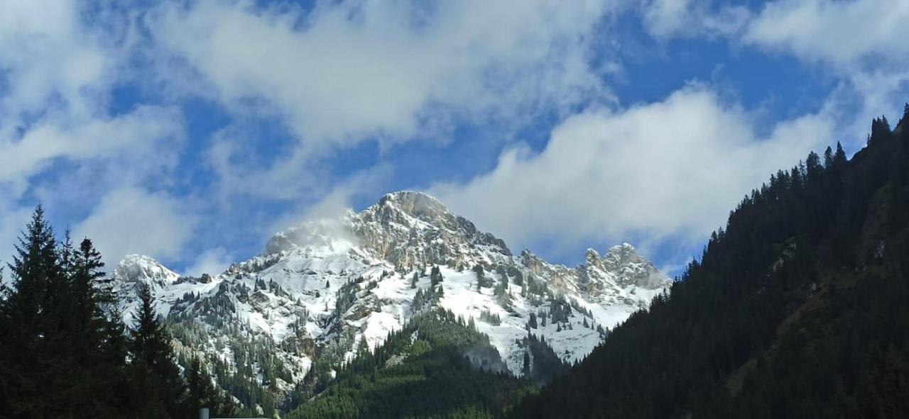 Bergfee * Nesselwangle